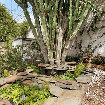 Casa Jardin Del Sol Planta Baja * 타코론테