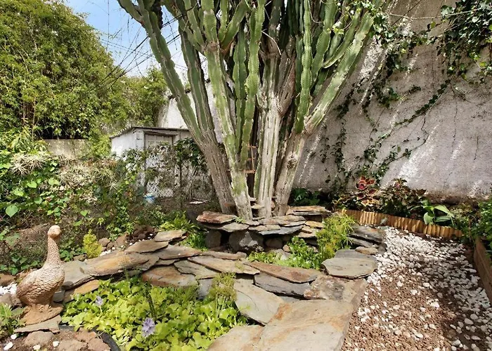 Casa Con Jardin * Tacoronte